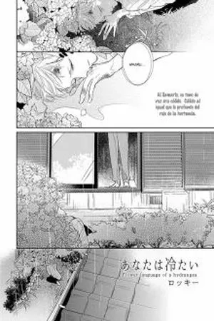 Portada de Flower Language of a Hydrangea