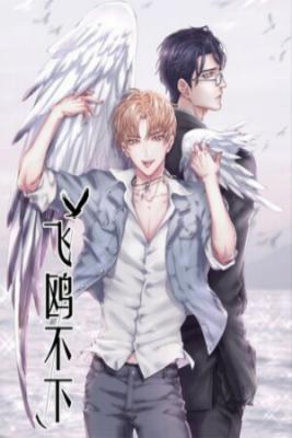 Portada de Flying Gulls Never Land