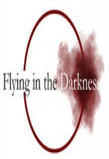 Portada de Flying In The Darkness