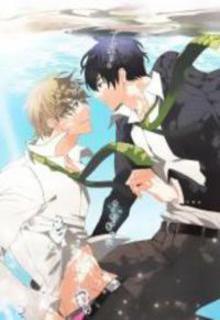 Portada de Free Words I Couldn T Say
