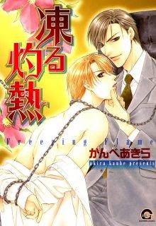 Portada de Freezing Flame