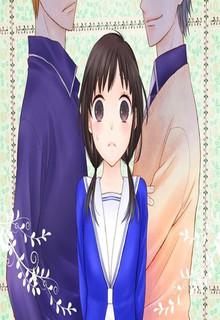 Portada de Fruits Basket Another