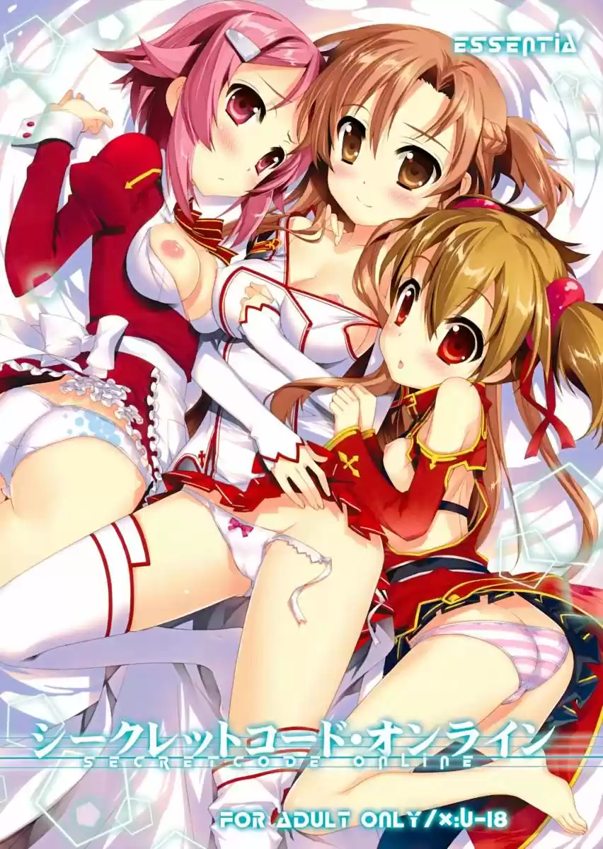 Portada de Fujima Takuya Secret Code Online Sword Art Online