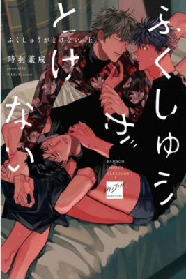 Portada de Fukushuu Ga Tokenai