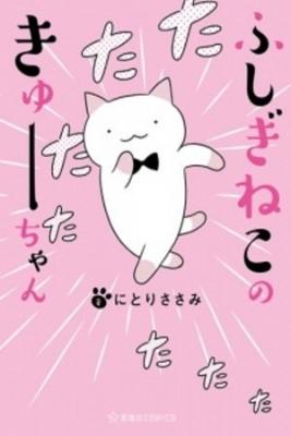 Portada de Fushigi Neko No Kyuu Chan Dj