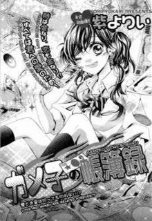 Portada de Gameko No Chouhoroku