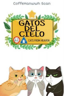 Portada de Gatos Del Cielo