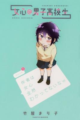 Portada de Girl S Heart High School Boy