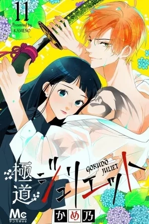 Portada de Gokudou Juliet