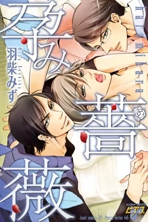 Portada de Harami Bara