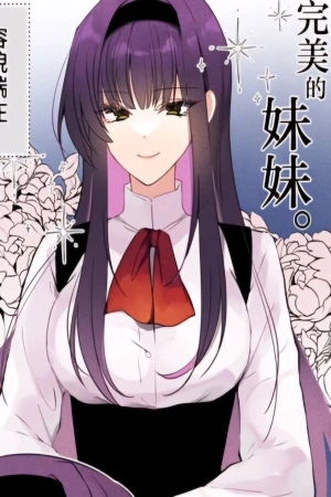 Portada de Hermana Perfecta