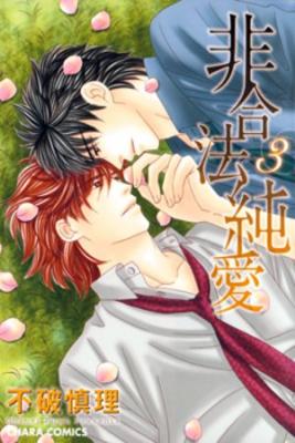 Portada de Higouhou Junai