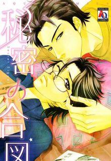 Portada de Himitsu No Aizu