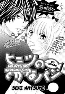 Portada de Himitsu No Sakana Pan