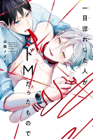 Portada de Hitomebore Shita Hito ga Doemu Datta Monode