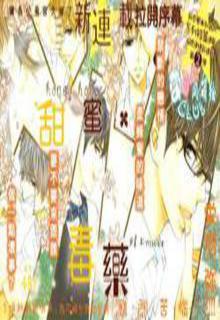 Portada de Honey Holic