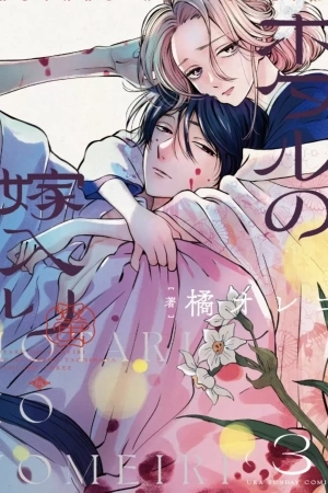 Portada de Hotaru no Yomeiri
