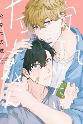 Portada de I Want To Protect You Mr Sawatari Yaoi