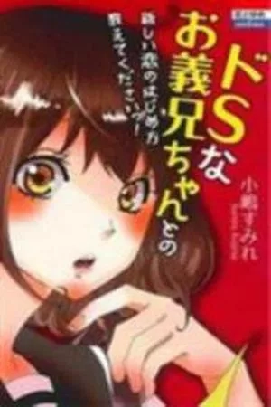Portada de Ie no Naka no S na Koto