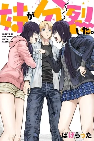 Portada de Imouto ga Bun retsu shita