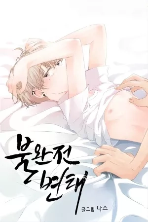 Portada de Imperfect Pervert