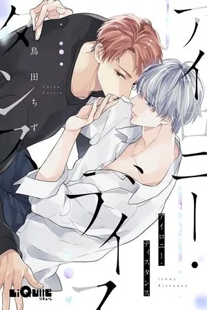 Portada de Irony Distance