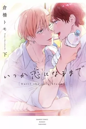 Portada de Itsuka Koi Ni Naru Made