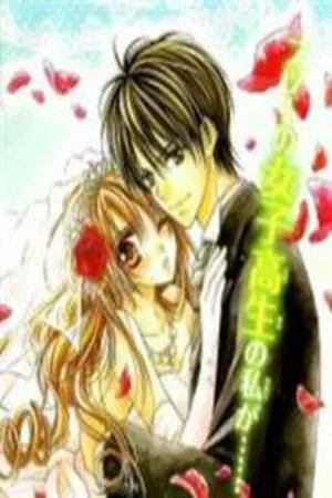 Portada de Junai Bride