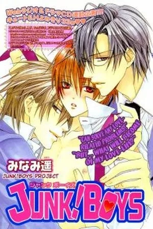 Portada de Junk Boys