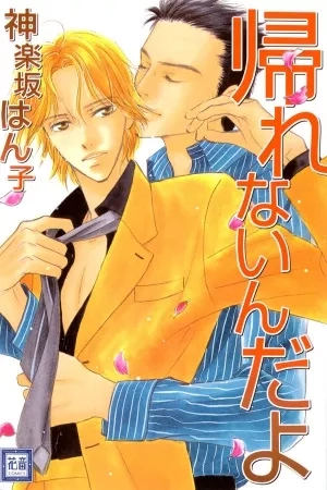 Portada de Kaerenaindayo