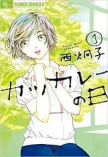Portada de Katsu Curry No Hi