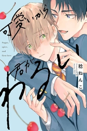 Portada de Kawaii kara Kimi ga Warui