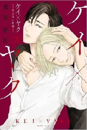 Portada de Kei x Yaku: Abunai Aibou