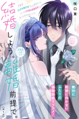 Portada de Kekkon Shiyou Rikon Zentei De