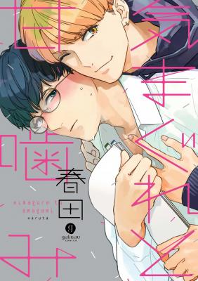 Portada de Kimagure To Amagami
