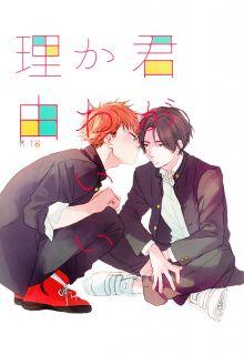 Portada de Kimi Ga Kawaii Riyuu