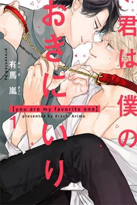 Portada de Kimi Ha Boku No Okiniiri