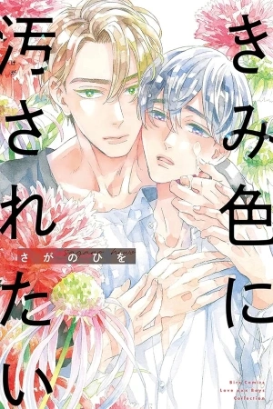 Portada de Kimi Iro ni Kegasaretai
