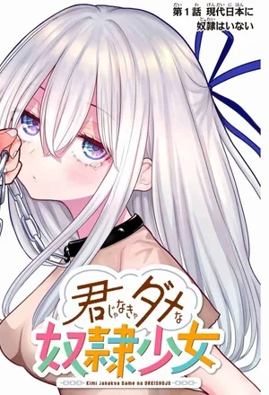 Portada de Kimi Janakya Dame Na Drei Shoujo