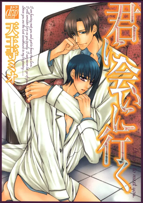 Portada de Kimi Ni Ai Ni Iku Yaoi