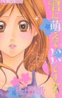 Portada de Kimi Ni Moete Ii Desu Ka