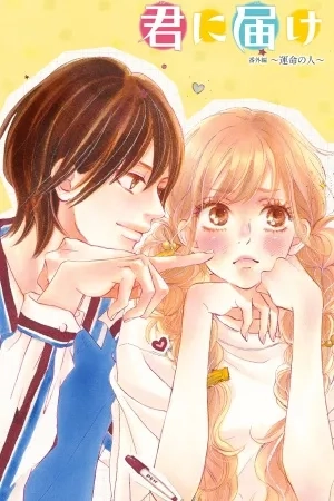 Portada de Kimi ni Todoke Special ～Soulmate～
