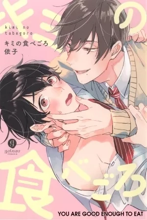 Portada de Kimi no Tabegoro