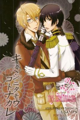 Portada de Kimi Shinitamou Koto Nakare Usajpn