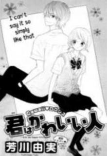Portada de Kimi Wa Kawaii Hito