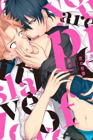 Portada de Kimi wa Kawaii Koi no Dorei