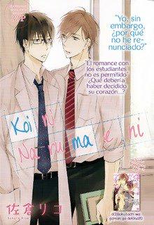 Portada de Koi Ni Naru Mae Ni