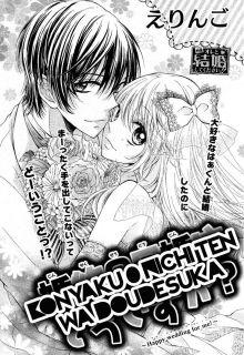 Portada de Konkayu 0 Nichi Kon Wa Desu Ka