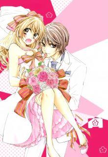 Portada de Konyaku 0 Nichi Kon Wa Dou Desu Ka