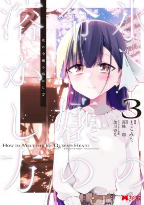 Portada de Koori No Reijou No Tokashi Kata